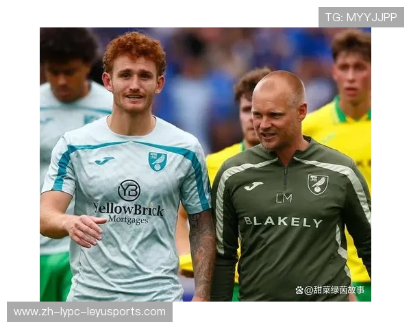 英超英冠球队出售：英超与英冠球队的出售市场分析