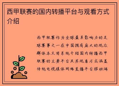西甲联赛的国内转播平台与观看方式介绍